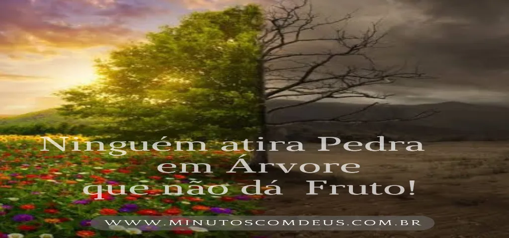 bons frutos